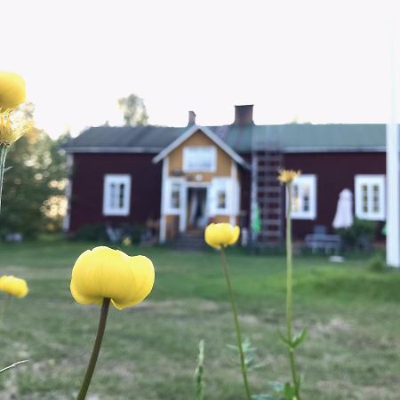 Paeivin Pirtti - Pirttikahvila Ja B&B Luosto Extérieur photo